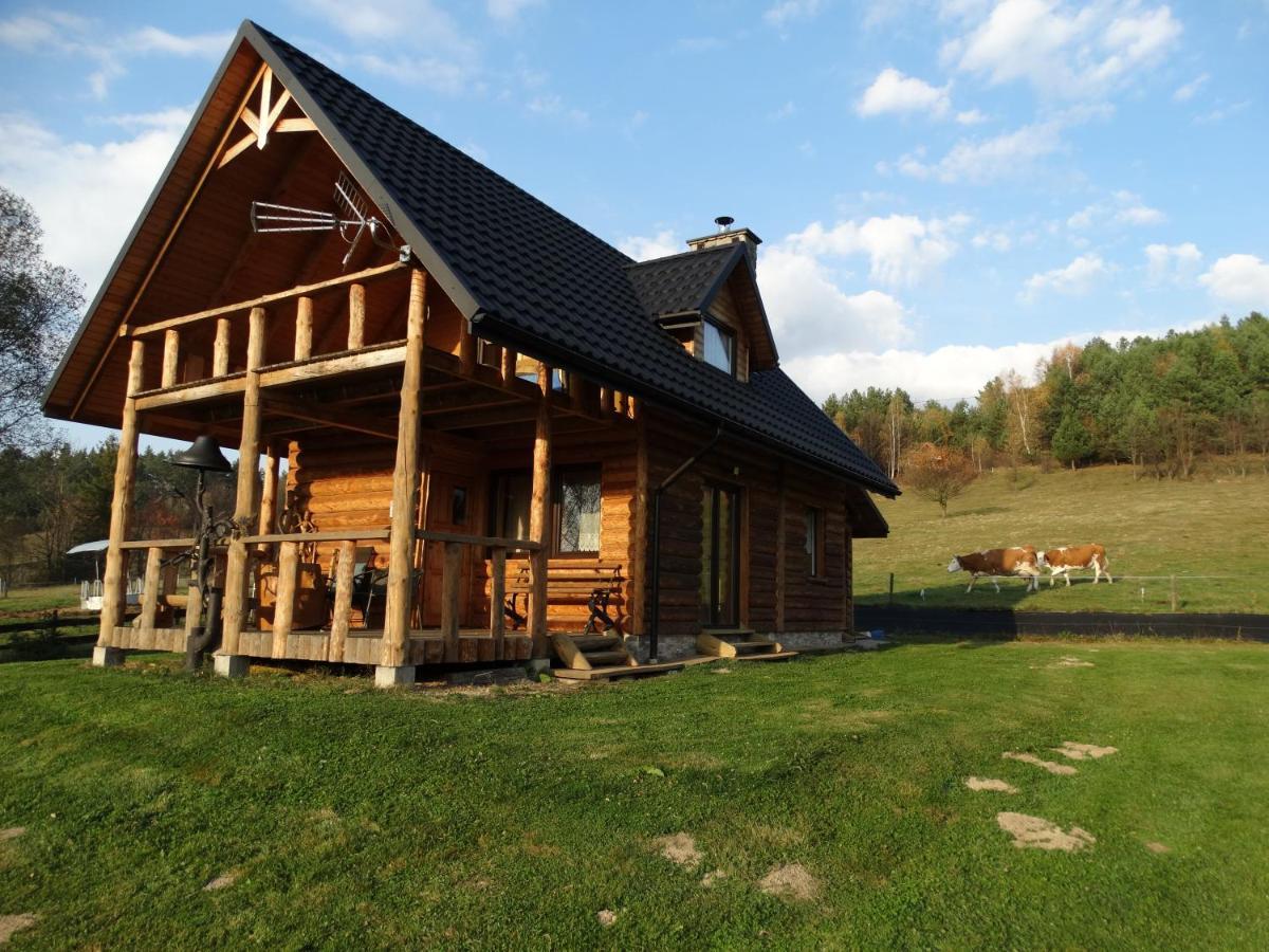 Domek alpejski Wilczy Mszaniec *